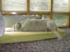 P01-08-1.jpg (55248 Byte)