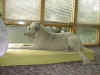 P01-08-2.jpg (55824 Byte)