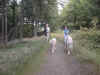 P01-10-3.jpg (57036 Byte)