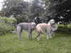 PIC00002.jpg (59124 Byte)