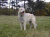 P02-10-2.jpg (54688 Byte)