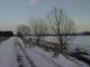 P03-01-1.jpg (50448 Byte)