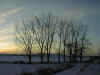 P03-01-3.jpg (51668 Byte)