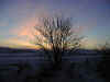 P03-01-4.jpg (51960 Byte)
