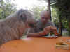 P03-06.2.jpg (57400 Byte)