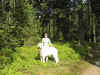 P03-06-5.jpg (57672 Byte)
